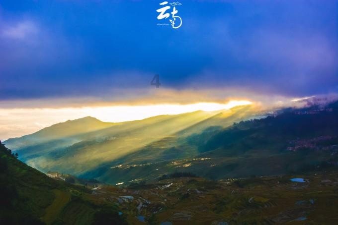牛鲨打假机构,牛鲨打假公司
