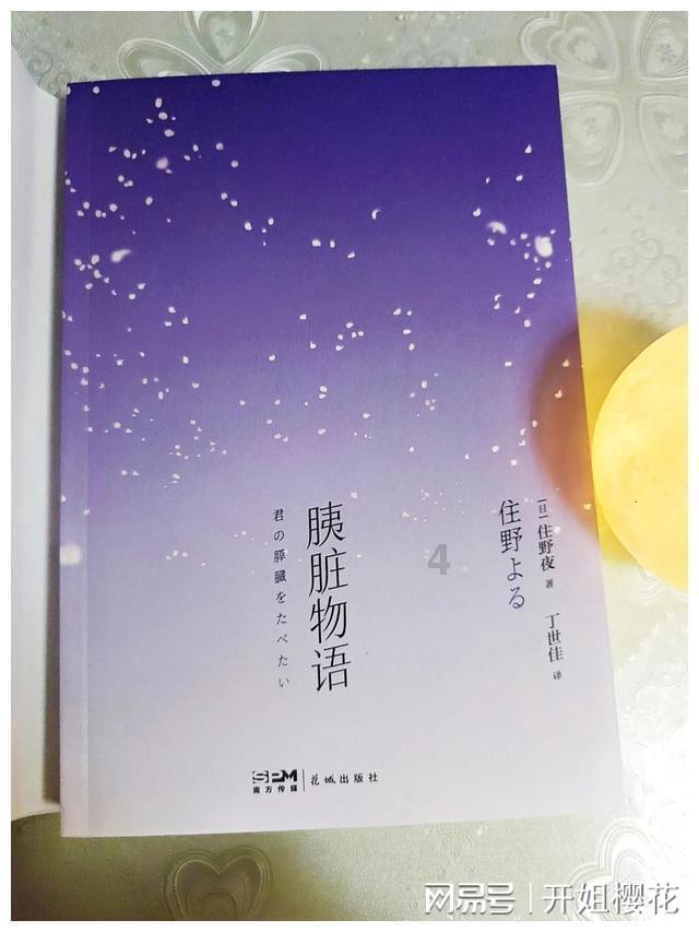 三亚:出实招,谋新路,推动营商环境再上新台阶