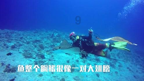 多喝水可以减肥吗？求大神帮助