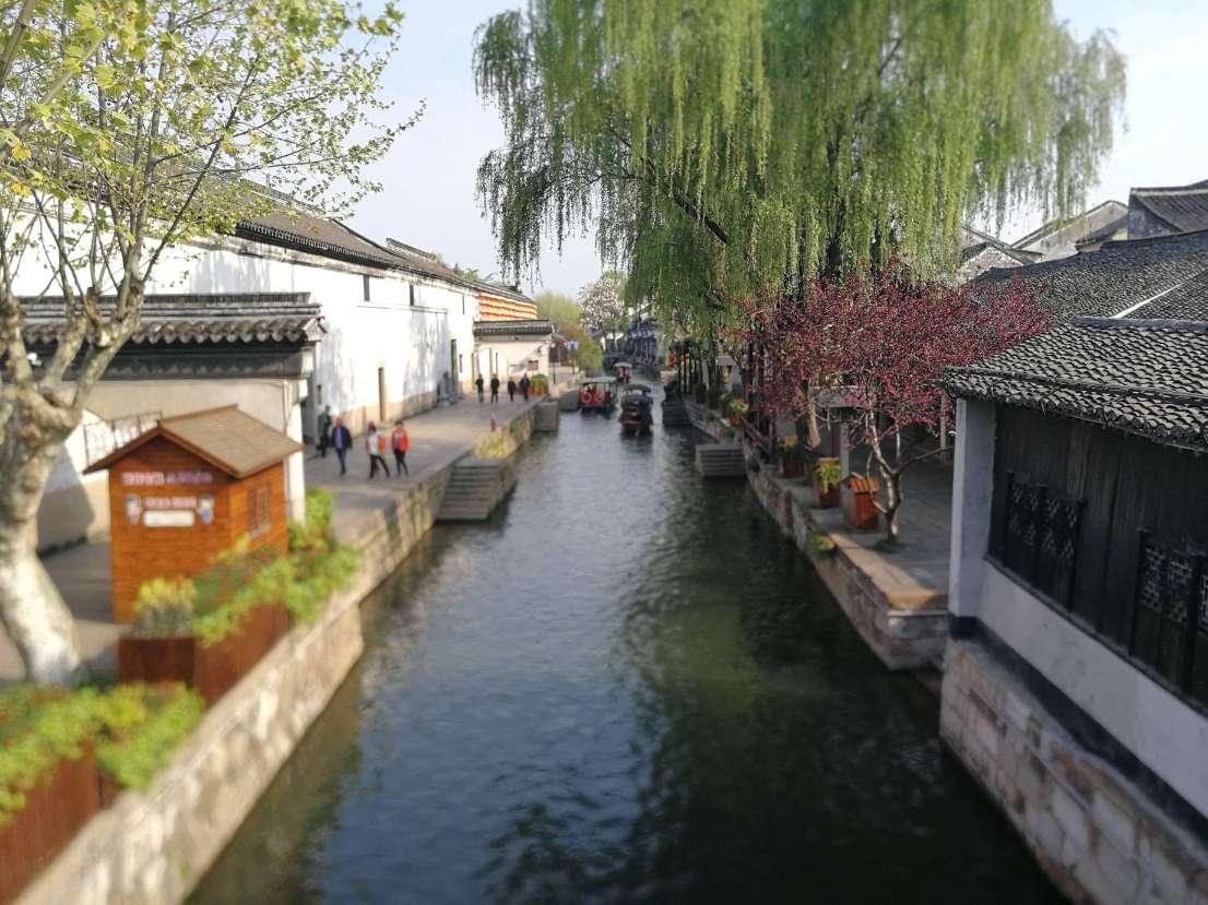王傲世的梦